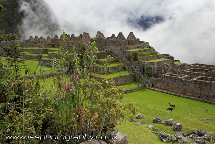 manchu_pichu4_dd_wm.jpg - Machu Picchu Peru