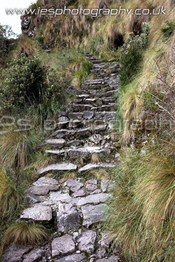 path_dd_wm.jpg - Inca Trail
