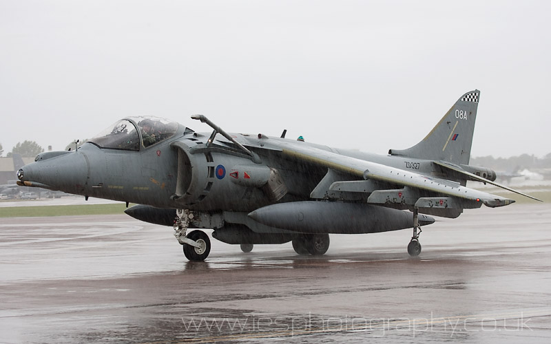 harrier_wm.jpg