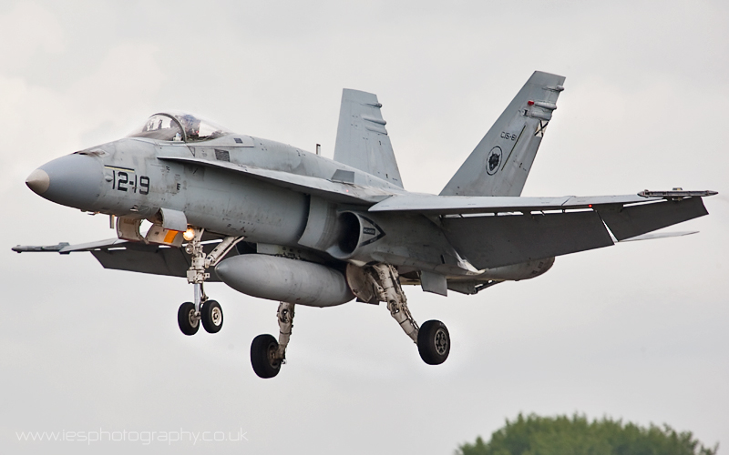 hornet_wm.jpg
