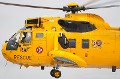 yellow_seaking
