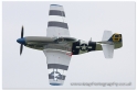 p51a_dd