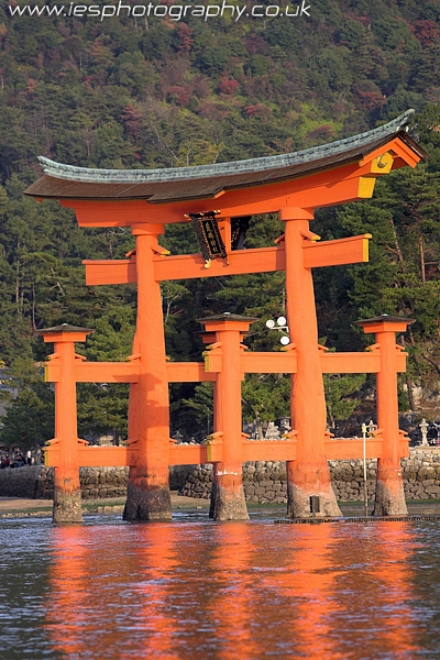 miyajima_float.jpg - Miyajima Island