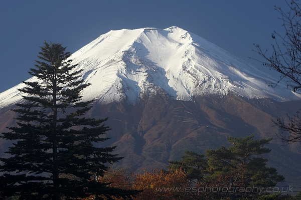 mtfuji.jpg