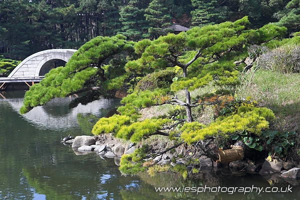 shukkeien_garden.jpg - Japanese Garden - Hiroshima