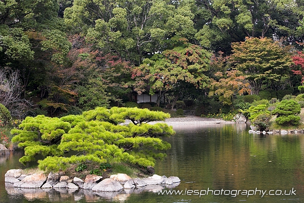 shukkeien_garden3.jpg - Japanese Garden - Hiroshima