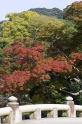 autumnleaves2