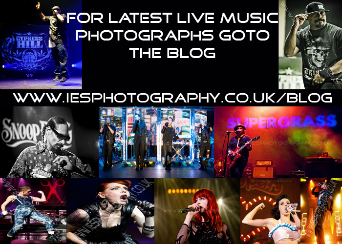 music Photographer Photography