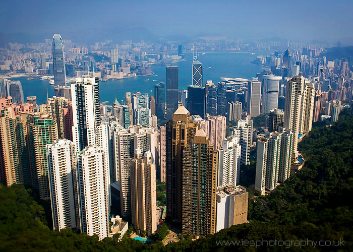Travel Hong Kong Photographer Photography