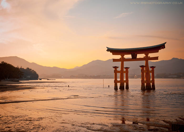 Travel Japan Photographer Photography
